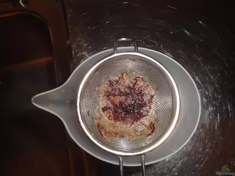 Frostfutter im Aquarium (Einrichtungsbeispiele mit Frostfutter)