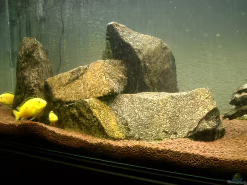 Granit als Deko im Aquarium (Einrichtungsbeispiele mit Granit-Steinen)