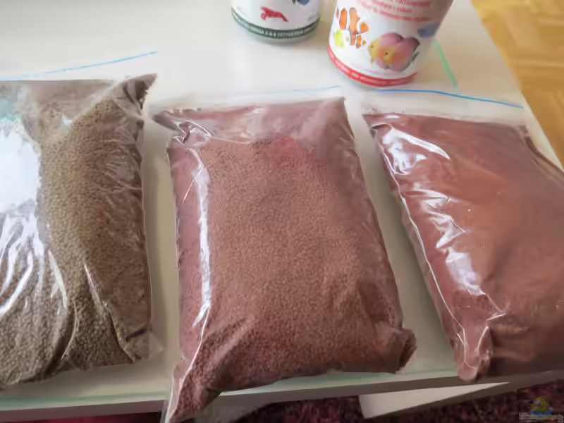 Granulatfutter: vielseitige Ernährung für Zierfische (Einrichtungsbeispiele mit Granulatfutter)