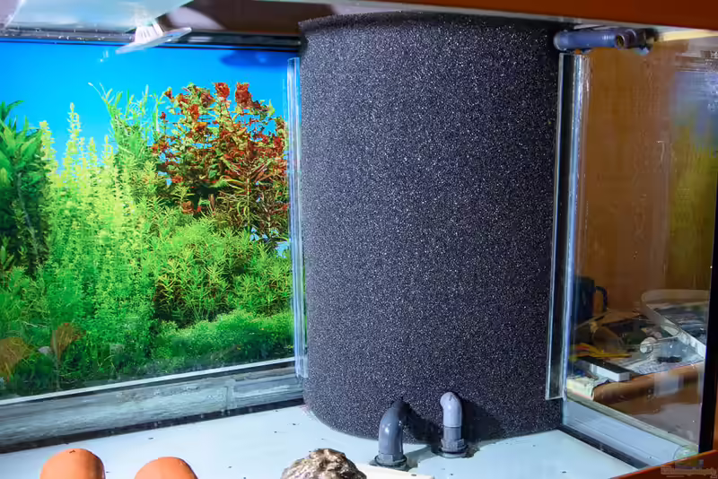 Hamburger Mattenfilter im Aquarium (Einrichtungsbeispiele mit HMF)