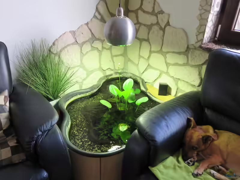 Einrichtungsbeispiele für Indoorteiche (Einen Indoorteich anlegen und gestalten)