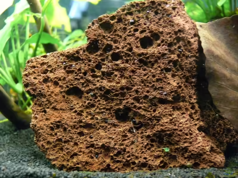 Lavasteine im Aquarium (Einrichtungsbeispiele mit Lavasteinen)