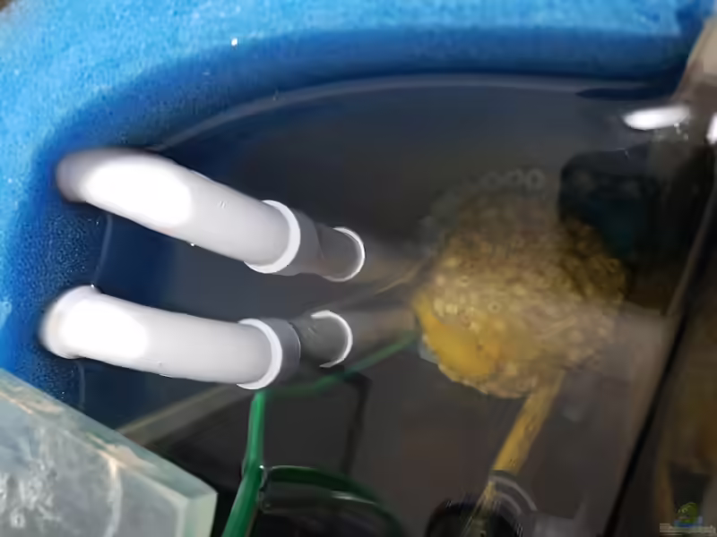 Luftheber im Aquarium: leise, sicher und effektiv filtern mit Luft (Einrichtungsbeispiele mit Lufthebern)