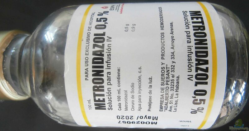 Metronidazol gegen Fischkrankheiten (Verwendung von Metronidazol in der Aquaristik)