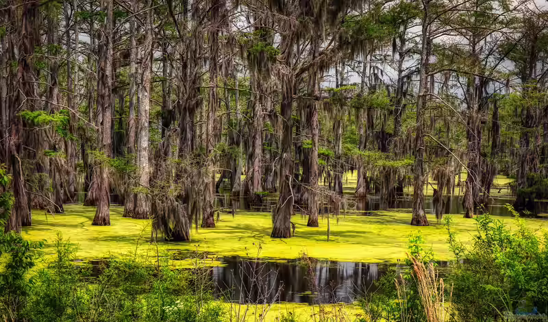 Das Flussbiotop des Mississippi (Einrichtungsbeispiele mit Tieren aus dem Mississippi)