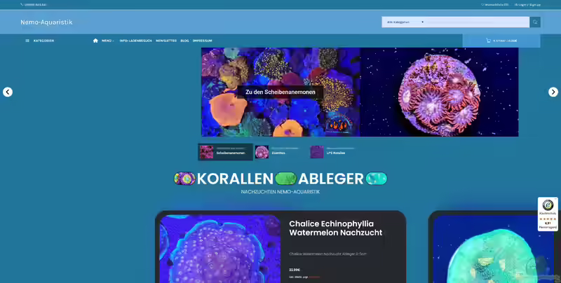 nemo-aquaristik.de - Onlineshop für Meerwasseraquaristik (Einrichtungsbeispiele mit Produkten aus dem Shop von nemo-aquaristik.de)