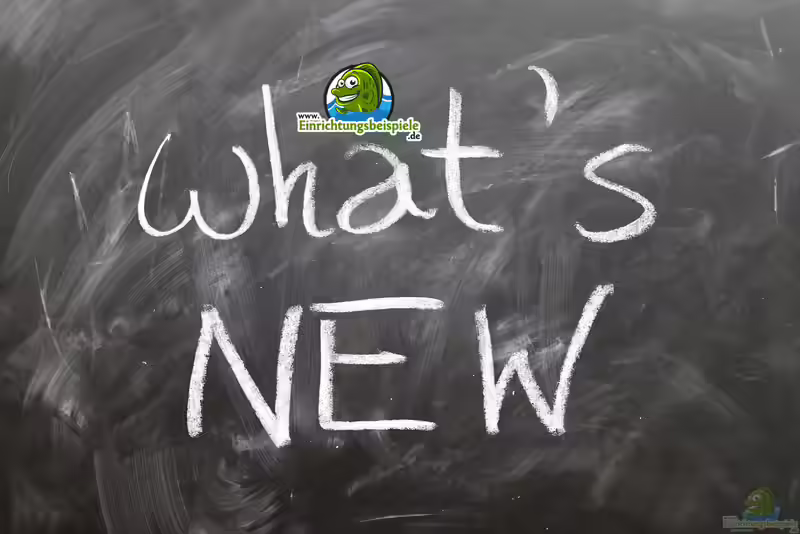 Die neuesten Beispiele auf Einrichtungsbeispiele.de