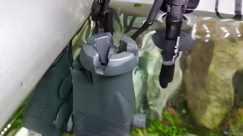 Oberflächenskimmer im Aquarium: Saubere Wasseroberfläche und besserer Gasaustausch (Einrichtungsbeispiele mit Oberflächenskimmer)