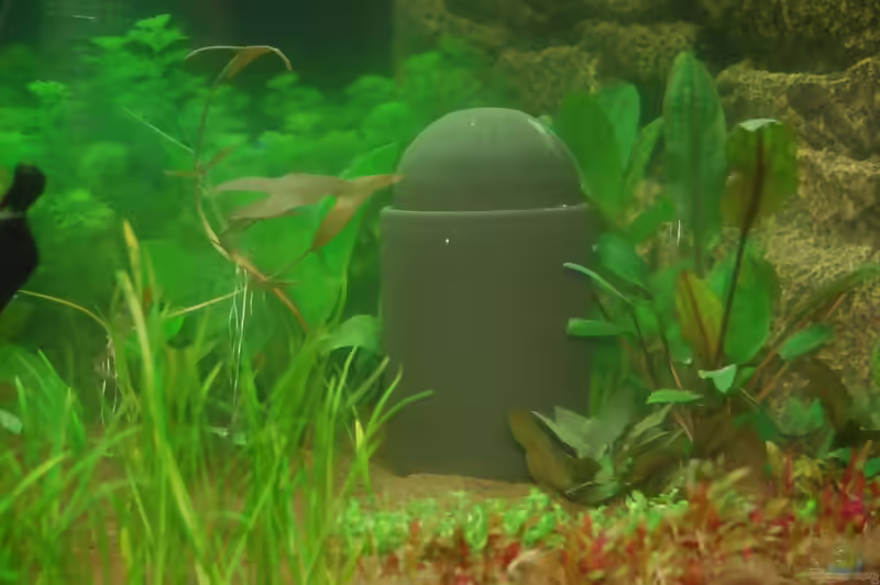 Oxydator im Aquarium: Funktionsweise, Vorteile, Einsatz und richtige Anwendung (Einrichtungsbeispiele mit Oxydator)