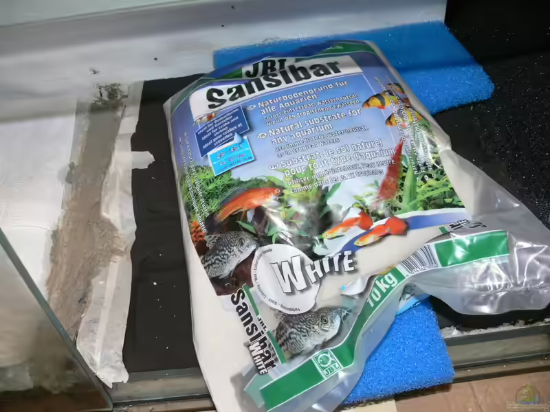 Sansibar Sand als Deko im Aquarium (Einrichtungsbeispiele mit Sansibar Sand)