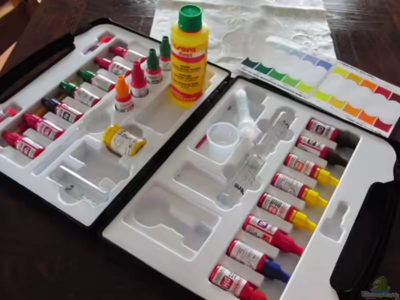 Sera Aquaristik: Der führende Hersteller für hochwertige Aquaristikprodukte (Einrichtungsbeispiele mit Produkten von Sera)