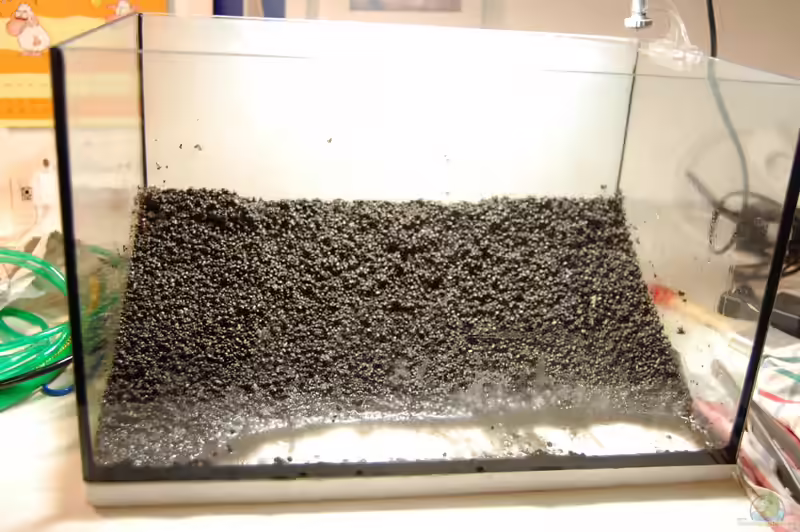 Soil als Bodengrund im Aquarium (Einrichtungsbeispiele mit aktiven Bodengrund)