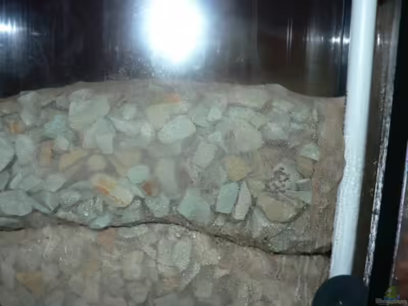 Zeolith im Aquarium (Einrichtungsbeispiele mit Zeolith)