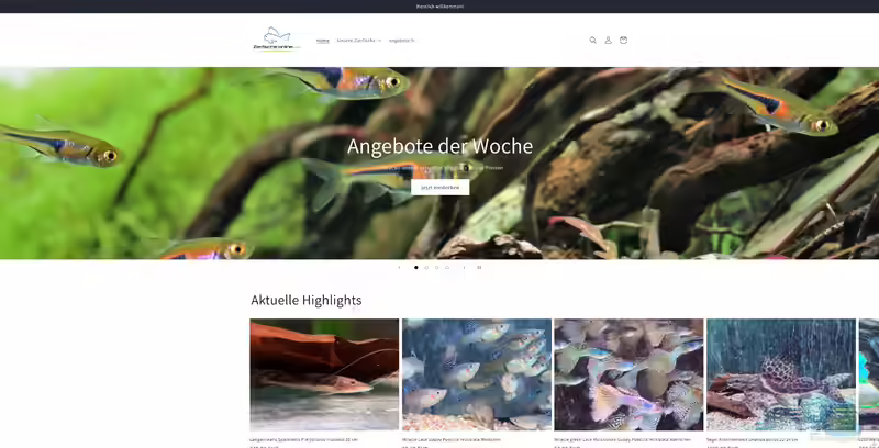 zierfische-online.com - Onlineshop für Aquarienfische (Einrichtungsbeispiele mit Produkten aus dem Shop von zierfische-online.com)