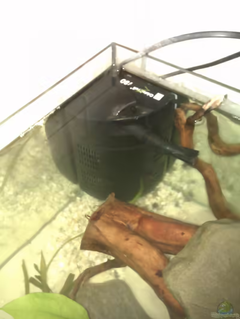 Einrichtungsbeispiele mit JBL CristalProfi i80