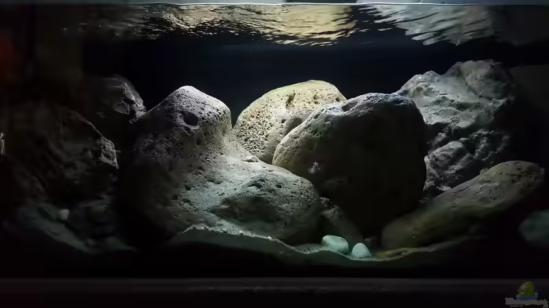 Einrichtungsbeispiele für Aquarien mit Produkten von Rockzolid