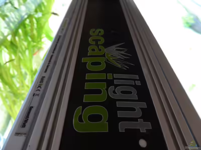 Aquarien mit Produkten von LiWeBe