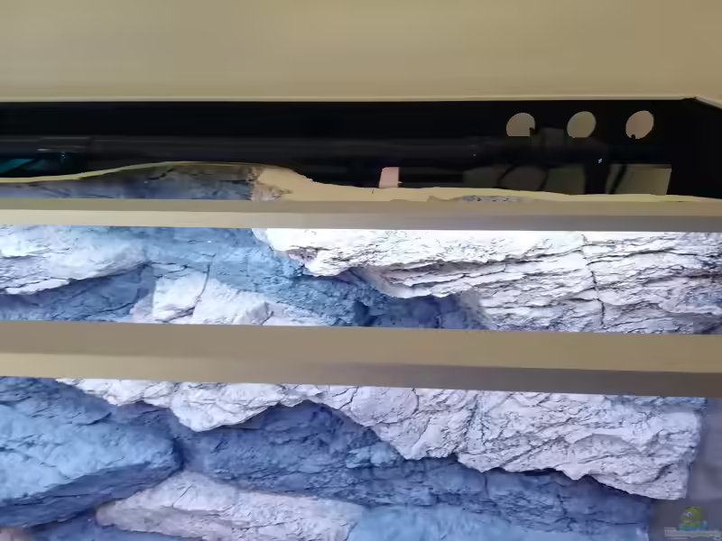 Arstone für Aquarium und Terrarium (Einrichtungsbeispiele mit Produkten von Arstone)