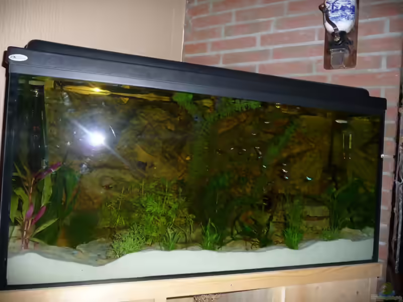 Kunstpflanzen im Aquarium (Einrichtungsbeispiele mit künstlichen Pflanzen)