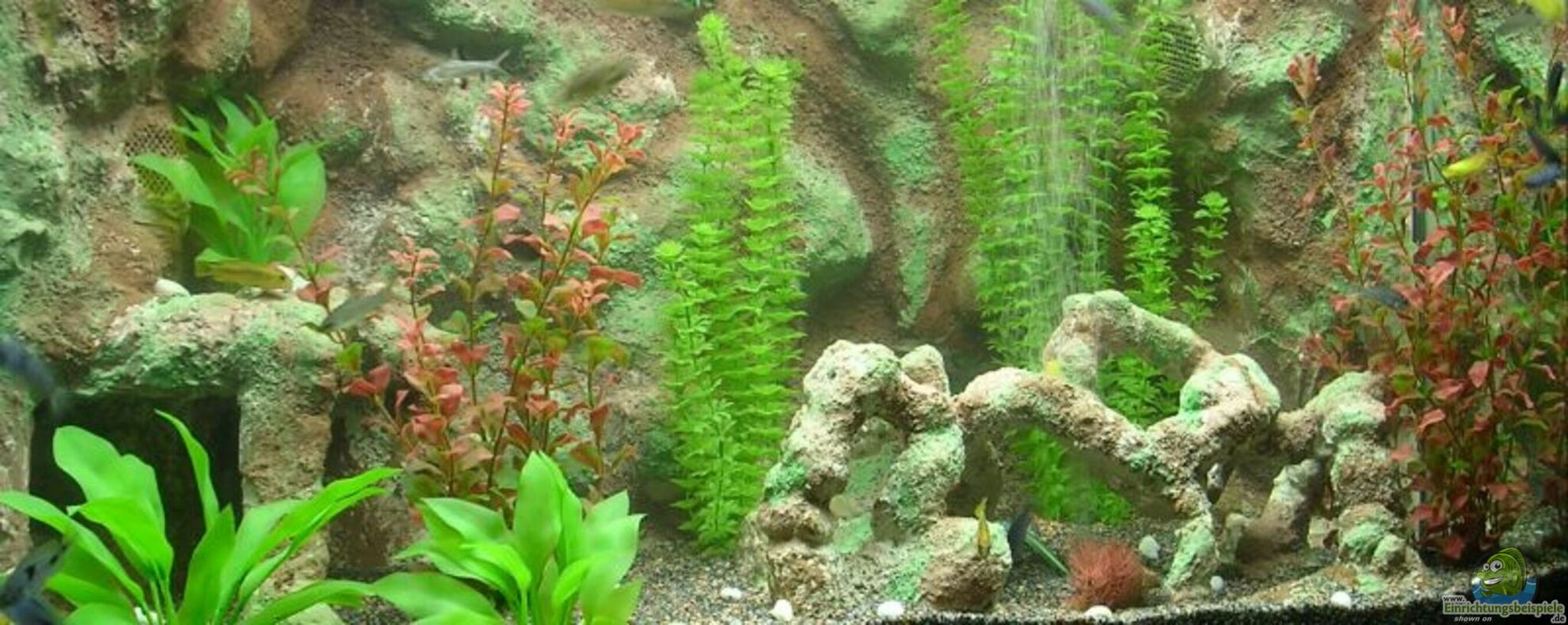 Plastik Dekoration im Aquarium: Vor- und ... (5583)