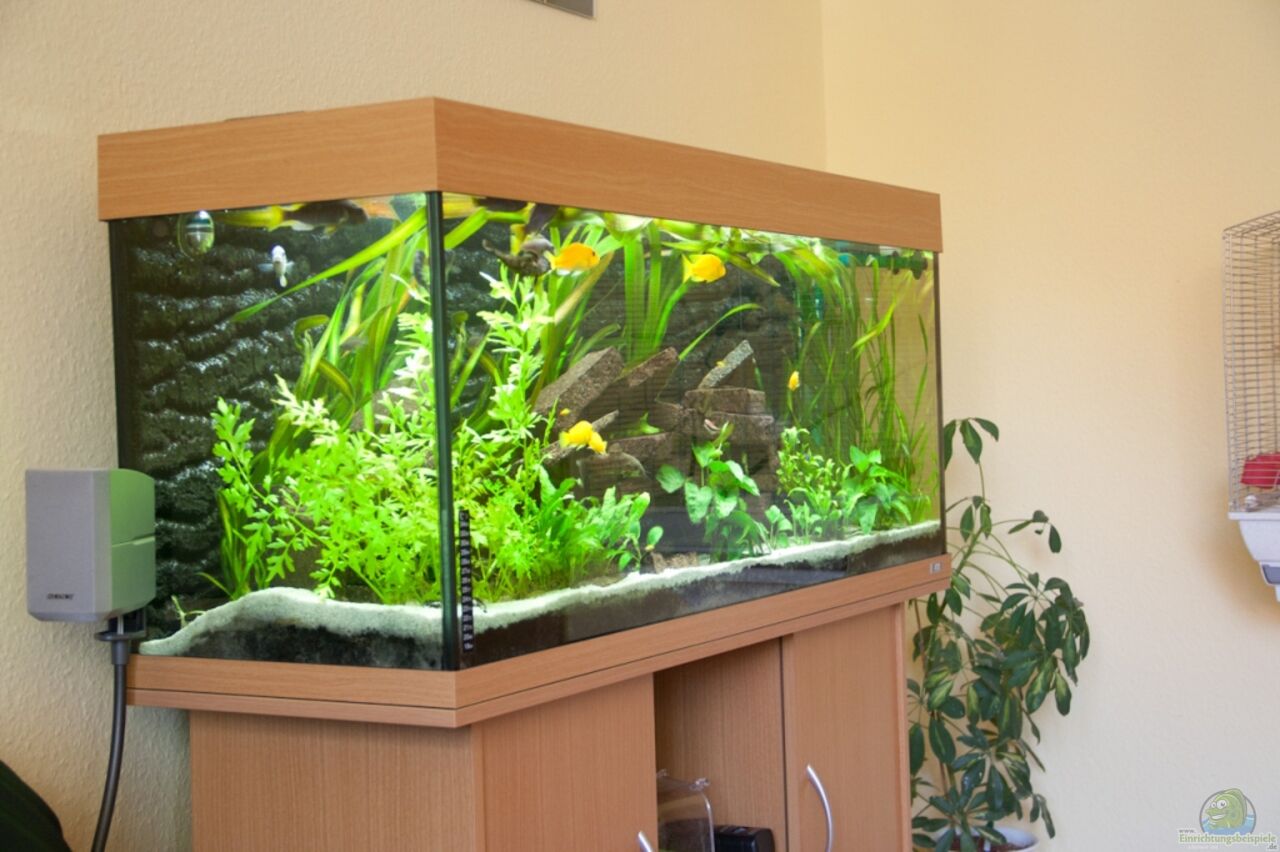 Aquarium von SuperReal Juwel Rio 240