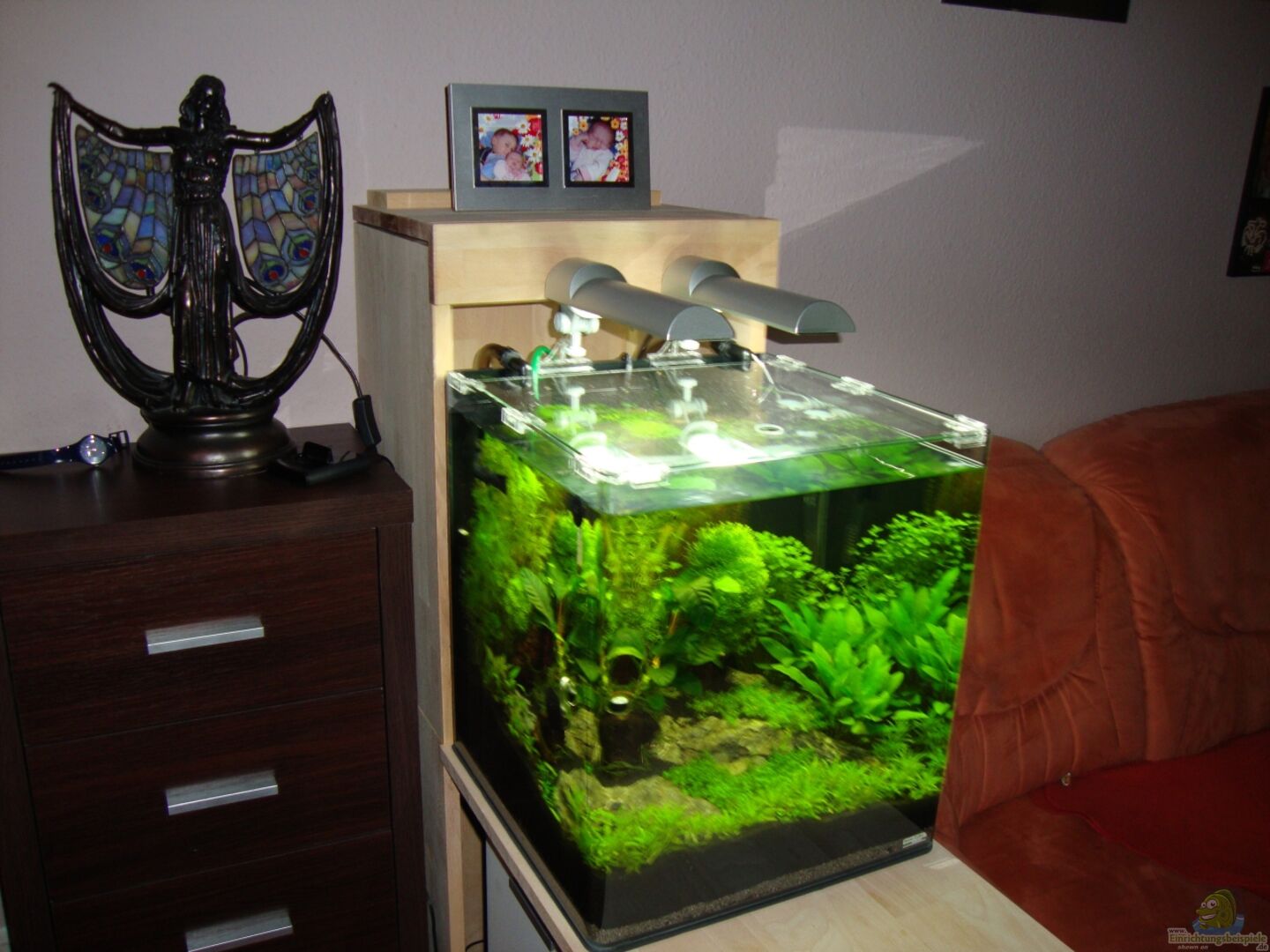 Dekotation im Aquarium Nano Cube 60 Liter aus Nano Cube 60 Liter von