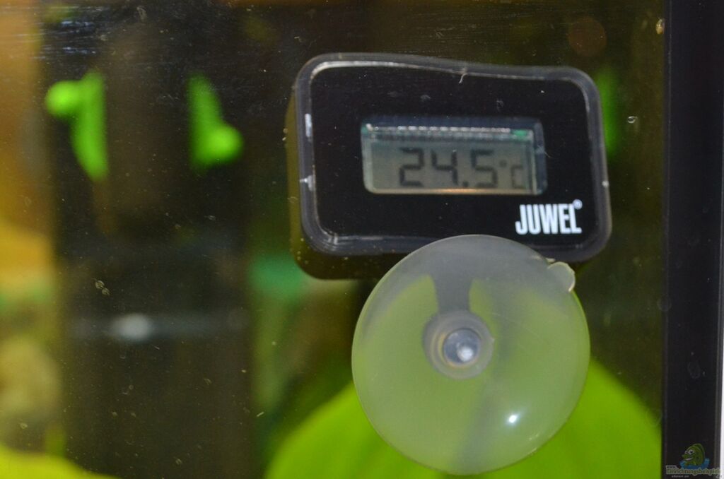 juwel digital thermometer
