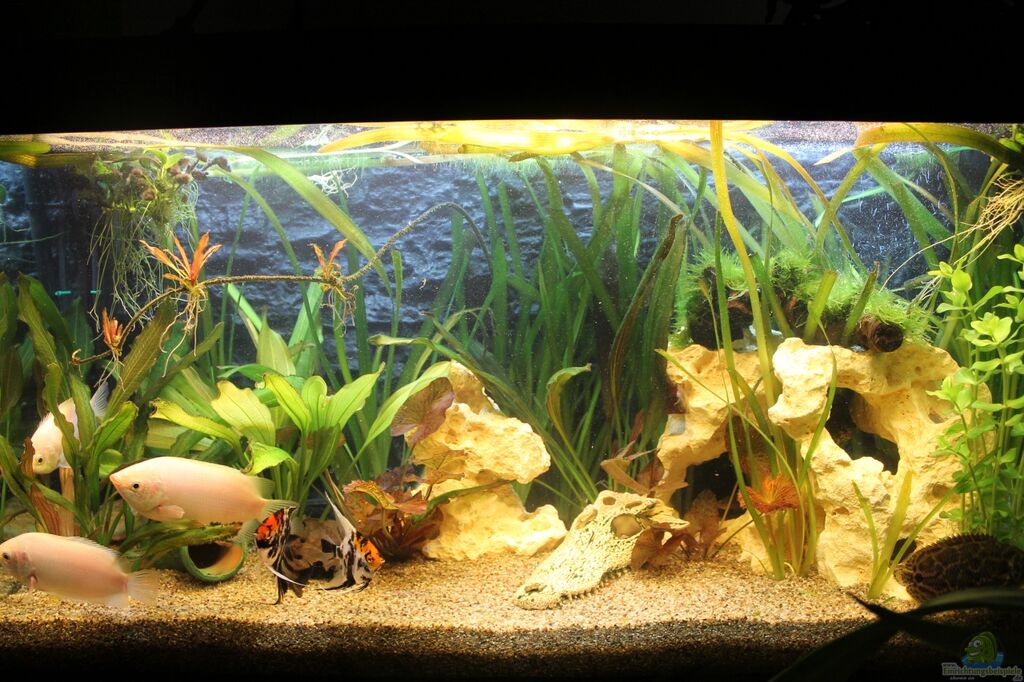 Příklad č 25890 z kategorie společenství