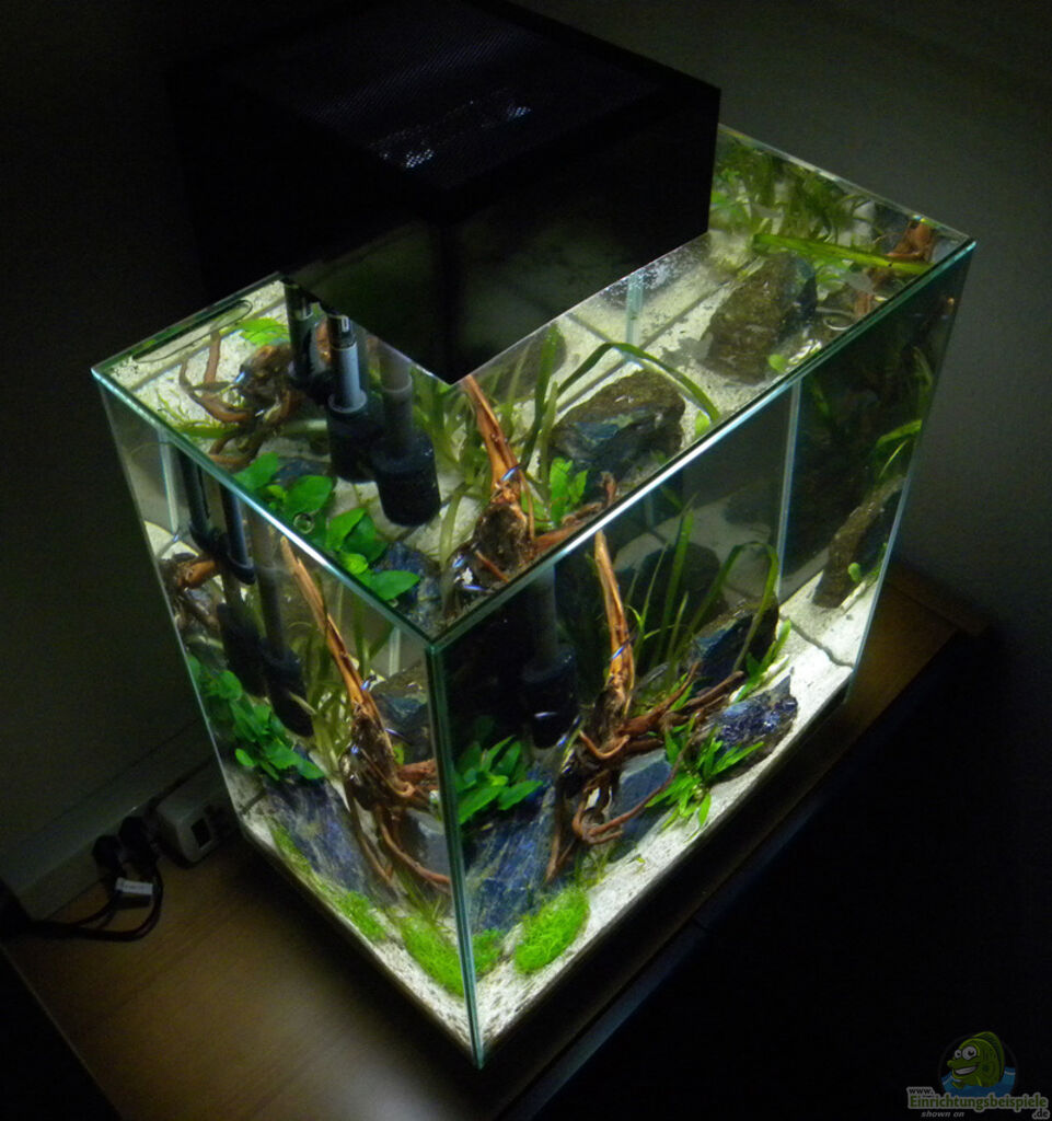 fluval edge ii