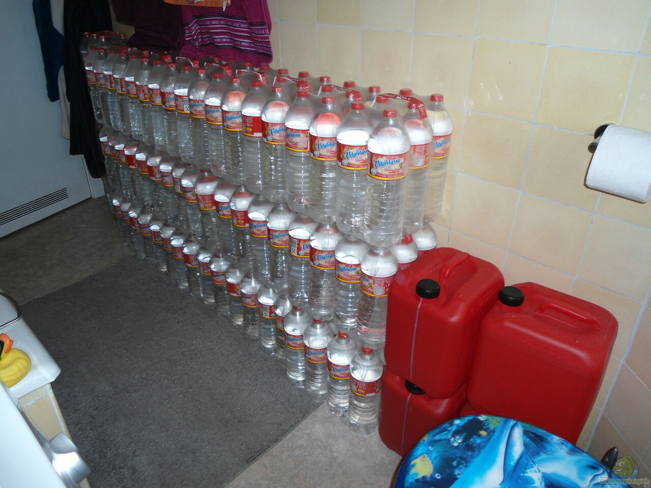 Aquarium von Pico: Juwel 450