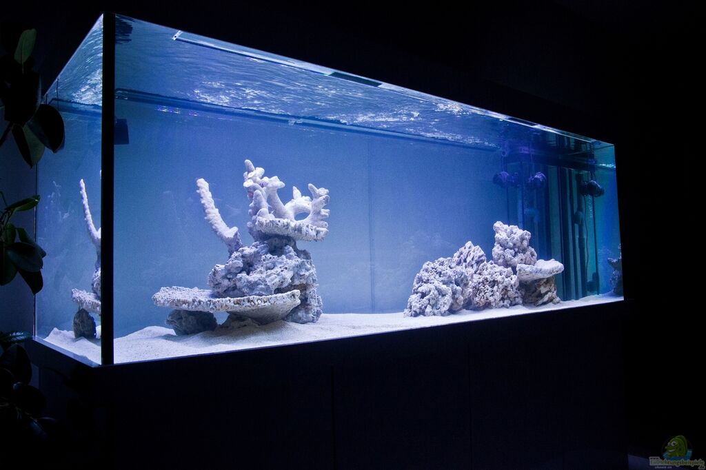 Einrichtungsbeispiele für MeerwasserAquarien