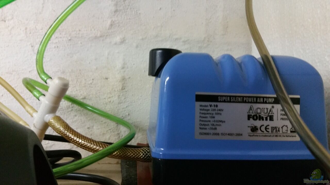 technik im aquarium kap lopez castle__cf20b094a395fd33e79368c0c696e666