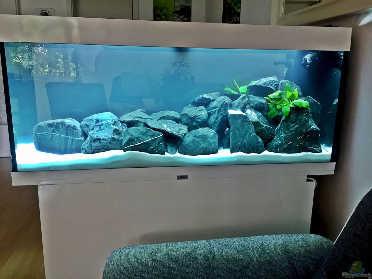 Malawi Aquarium aus Erste Malawi Becken von DannySea