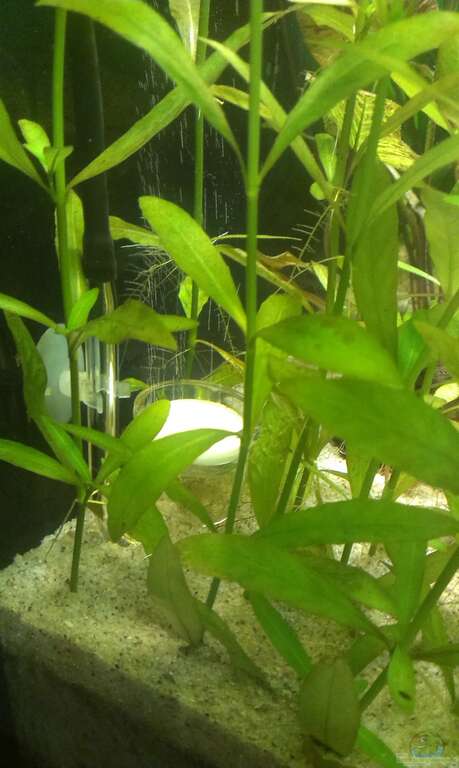 Übersicht über die Technikbilder aus den 8515 Beispielen - Seite 2