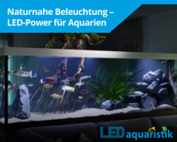 LEDaquaristik.de