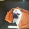 Userbild von ABZUGEBEN!!