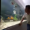 Userbild von Amazonasbecken.eu
