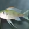 Userbild von Andi*Sehlde
