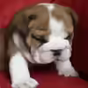 Userbild von André Böhme