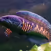 Userbild von AquaTobi90