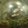 Userbild von Arami Gurami