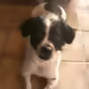 Userbild von Barabas