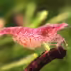 Userbild von basetim
