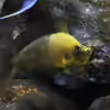 Userbild von Björn (Slavi)