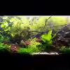 Userbild von brimar67