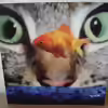 Userbild von Chris 81