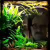 Userbild von Dieter