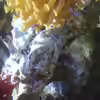 Userbild von Dirk Pfeifer