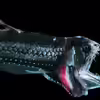 Userbild von Dominik