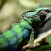 Userbild von fischgarage